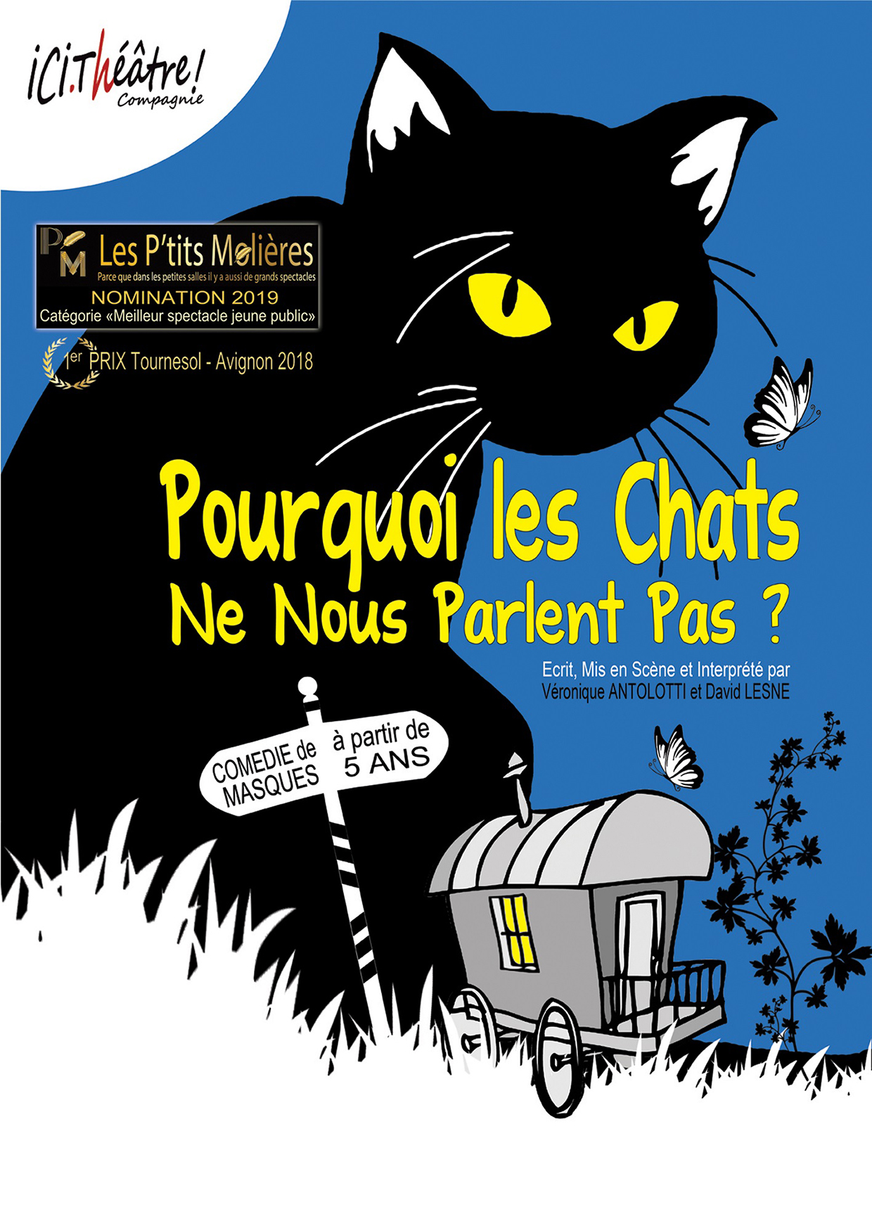 Pourquoi les chats ne nous parlent pas ? 